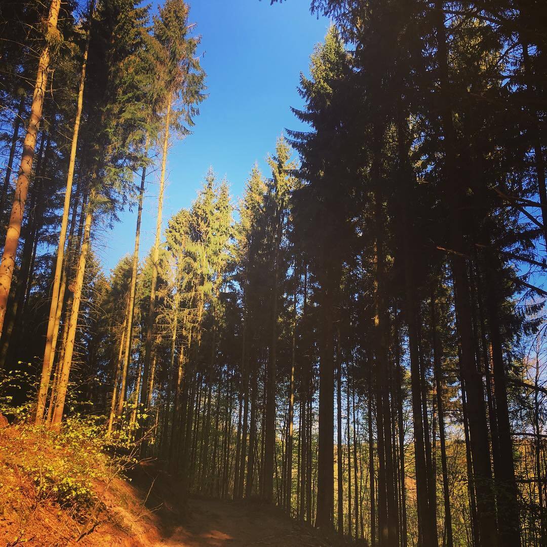 Photo Instagram de Julie